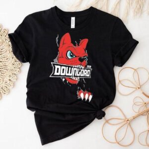 Grab your exclusive 2019 Download Fest band merch tshirt