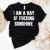 I Am A Ray Of Fcking Sunshine Shirt