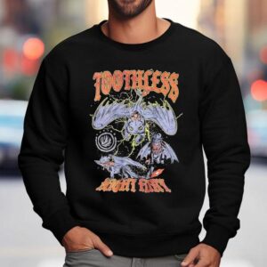 How To Train Your Dragon Toothless Night Fury Shirt 3 How To Train Your Dragon Toothless Night Fury Sweatshirt