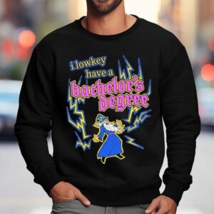 I Lowkey Have A Bachelor S Degree Wizard Sweatshirt