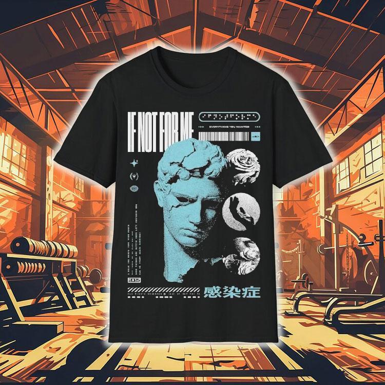 Not Enough Space If Not For Me Everything You Wanted Statue Shirt Not Enough Space If Not For Me Everything You Wanted Statue Shirt