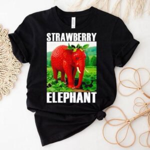Strawberry Elephant Italian Brainro Tshirt