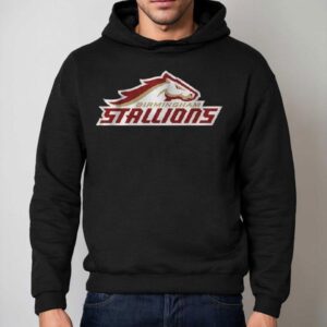 Birmingham Stallions Lockup Logo Shirt 2 Birmingham Stallions Lockup Logo Hoodie