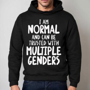 I Can Be Trusted With Multiple Genders Shirt 2 I Can Be Trusted With Multiple Genders Hoodie