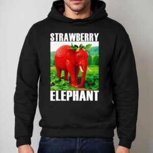 Strawberry Elephant Italian Brainro Hoodie