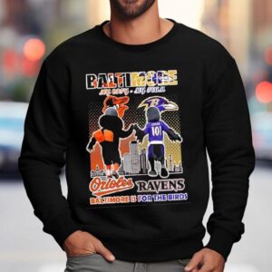 Baltimore Orioles And Baltimore Ravens Mascots My City My Team Baltimore Is For The Birds Shirt 3 Baltimore Orioles And Baltimore Ravens Mascots My City My Team Baltimore Is For The Birds Sweatshirt
