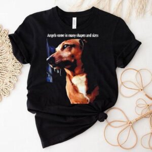 Dachshund Dog Angels Come In Many Shapes And Sizes Shirt