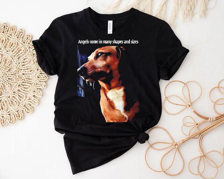 Dachshund Dog Angels Come In Many Shapes And Sizes Shirt 4 Dachshund Dog Angels Come In Many Shapes And Sizes Tshirt