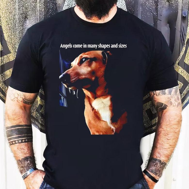 Dachshund Dog Angels Come In Many Shapes And Sizes Shirt Dachshund Dog Angels Come In Many Shapes And Sizes Shirt