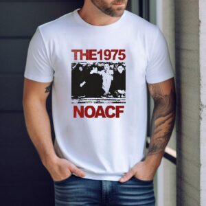 The 1975 Noacf Photo Glastonbury Vintage Shirt