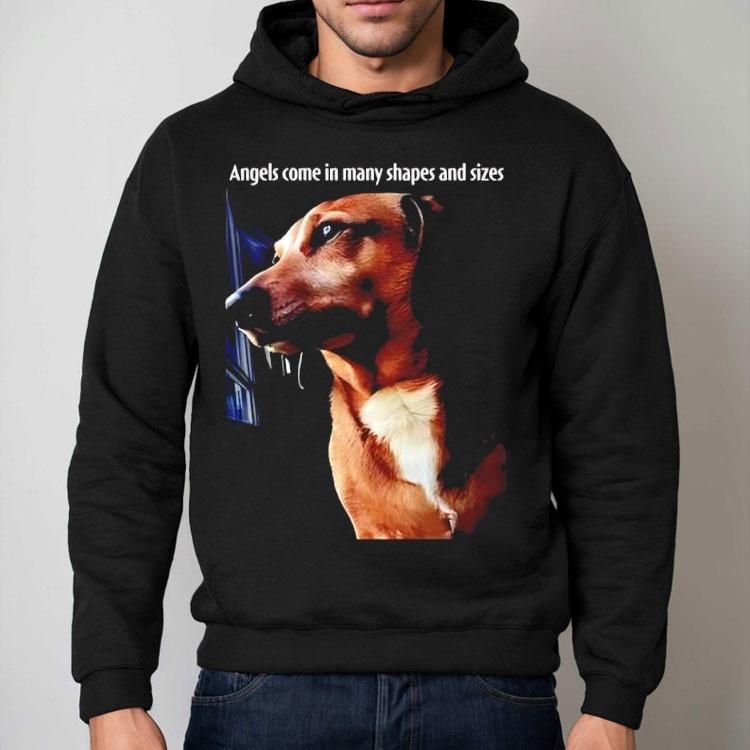 Dachshund Dog Angels Come In Many Shapes And Sizes Shirt Dachshund Dog Angels Come In Many Shapes And Sizes Shirt