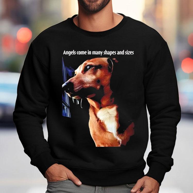 Dachshund Dog Angels Come In Many Shapes And Sizes Shirt Dachshund Dog Angels Come In Many Shapes And Sizes Shirt