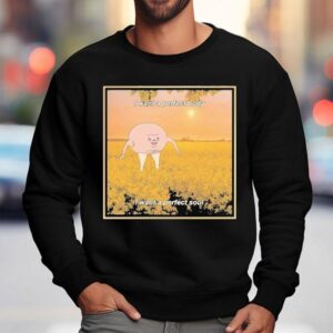 I Want A Perfect Body I Want A Perfect Soul Sunse Sweatshirt