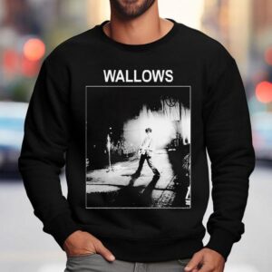 Wallows Dylan Photo Shirt 3 Wallows Dylan Photo Sweatshirt
