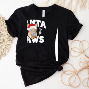 Santa Paws Holiday Christmas 2025 Shirt