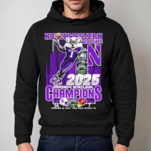 Northwestern Wildcats Vs Central Michigan Chippewas Gameabove Sports Bowl Champions Mascot Trophy Hoodie
