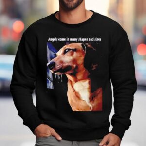 Angels Come In Many Shapes And Sizes Frankie Shirt 3 Angels Come In Many Shapes And Sizes Frankie Sweatshirt