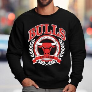 Naional Basketball Association Chicago Bulls Crest Logo Shirt 3 Naional Basketball Association Chicago Bulls Crest Logo Sweatshirt